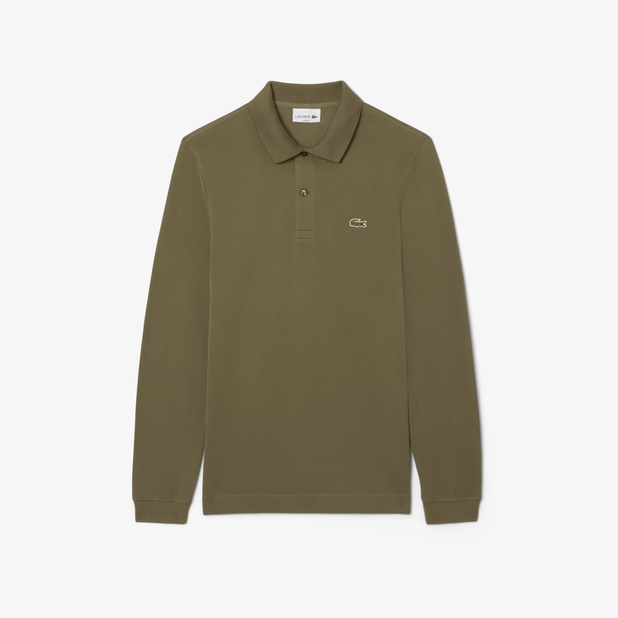 OLIVE 06Y